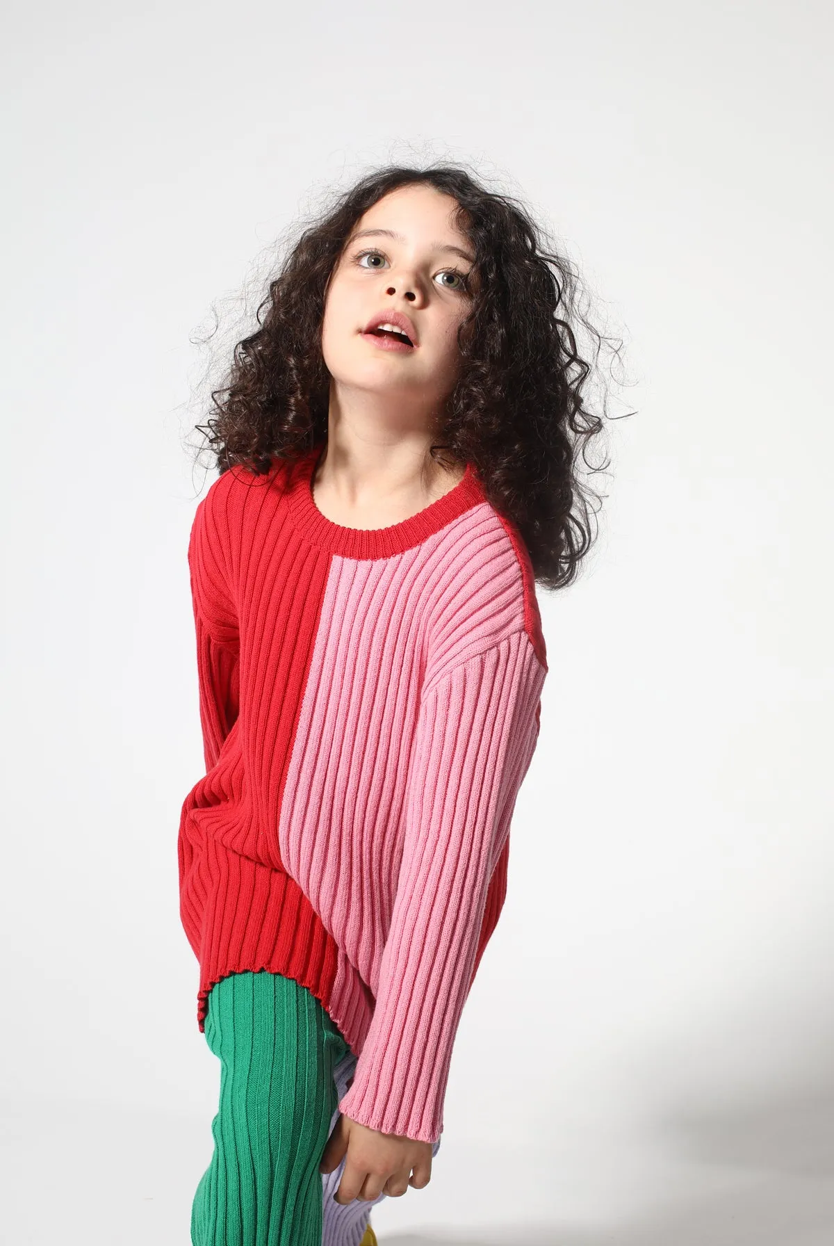 DUO COLOUR CREW NECK JUMPER