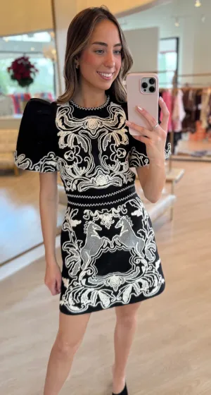 Re1735 Azera Embroidered Mini Dress